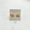 Chrysanthemum Studs