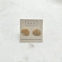 Chrysanthemum Studs